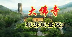 美女的小嫩B视频免费中国浙江-新昌大佛寺旅游风景区
